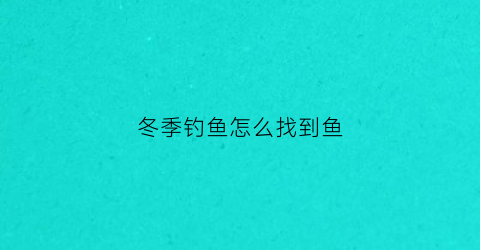 冬季钓鱼怎么找到鱼(冬天怎么找钓位)