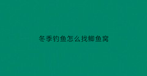 冬季钓鱼怎么找鲫鱼窝(冬天找鲫鱼的窝点)