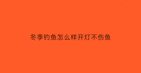 “冬季钓鱼怎么样开灯不伤鱼(钓鱼技巧冬天)