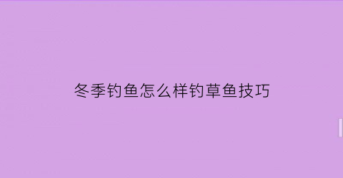 冬季钓鱼怎么样钓草鱼技巧(冬季怎么钓草鱼野钓)