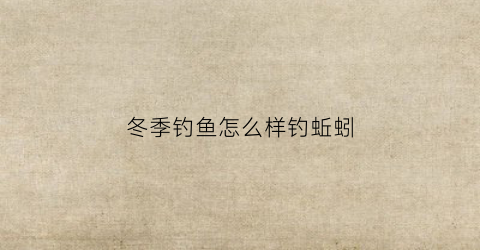 冬季钓鱼怎么样钓蚯蚓(冬季蚯蚓能钓什么鱼)