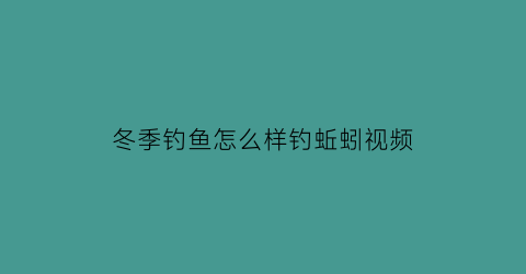 冬季钓鱼怎么样钓蚯蚓视频