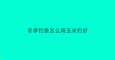 “冬季钓鱼怎么用玉米钓好(冬天怎么用玉米钓鱼)