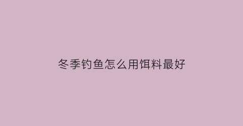 冬季钓鱼怎么用饵料最好