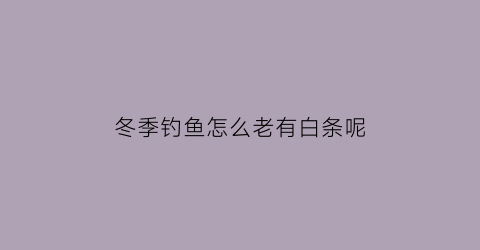 冬季钓鱼怎么老有白条呢(冬天钓鱼都是白条)