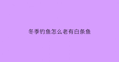 冬季钓鱼怎么老有白条鱼(冬季钓白条钓技巧)