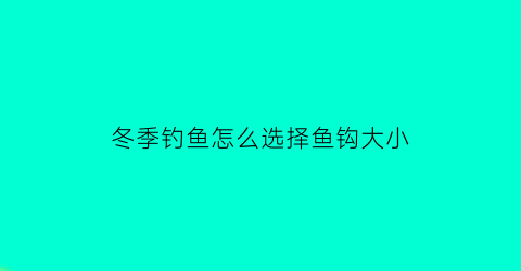 冬季钓鱼怎么选择鱼钩大小