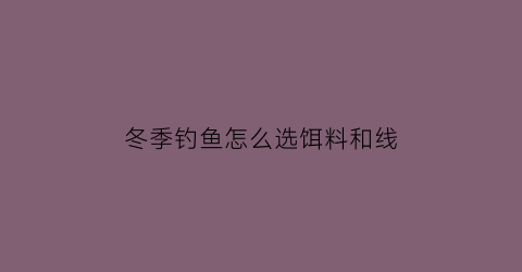 冬季钓鱼怎么选饵料和线