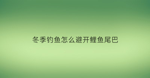 冬季钓鱼怎么避开鲤鱼尾巴(冬天怎样才能钓到鲤鱼)