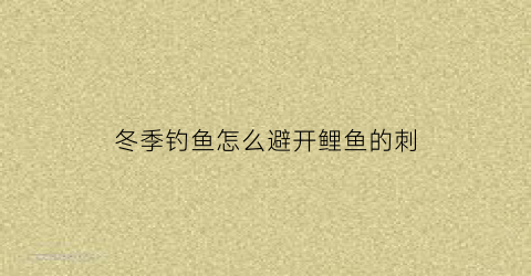 “冬季钓鱼怎么避开鲤鱼的刺(冬季钓鲤鱼怎么难钓到)