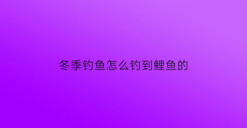 冬季钓鱼怎么钓到鲤鱼的