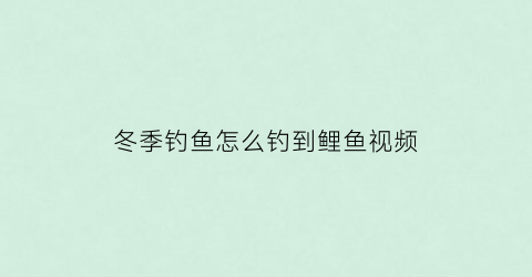 “冬季钓鱼怎么钓到鲤鱼视频(冬天怎样才能钓到鲤鱼)