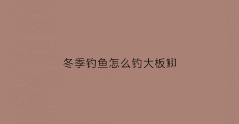 冬季钓鱼怎么钓大板鲫(冬季怎样钓大板鲫鱼)