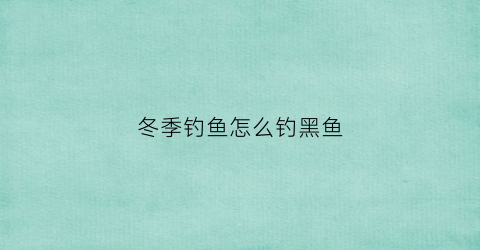 冬季钓鱼怎么钓黑鱼(冬天怎么钓黑鱼)
