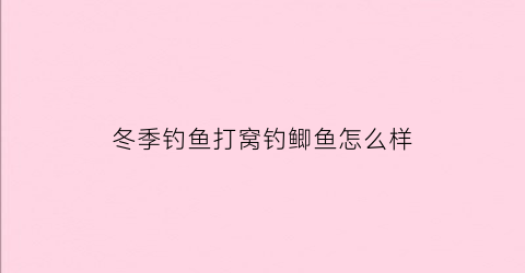 冬季钓鱼打窝钓鲫鱼怎么样(冬天钓鱼打窝技巧)