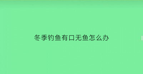 冬季钓鱼有口无鱼怎么办