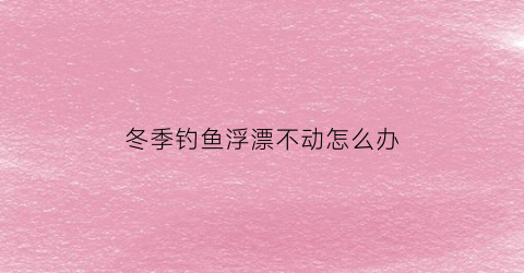 冬季钓鱼浮漂不动怎么办