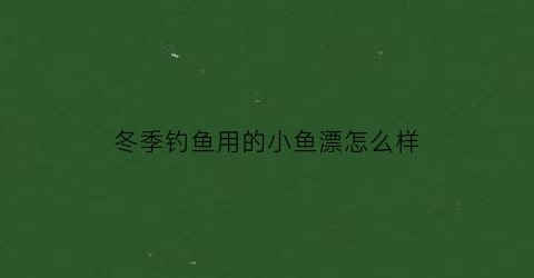 冬季钓鱼用的小鱼漂怎么样(冬季钓鱼用的小鱼漂怎么样才能钓到)