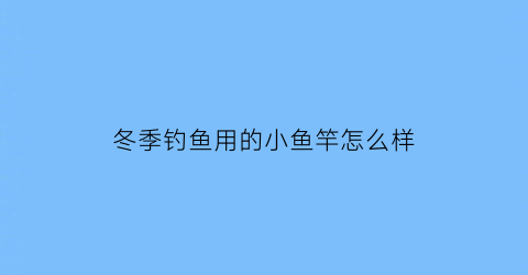 冬季钓鱼用的小鱼竿怎么样(冬钓用什么竿好)
