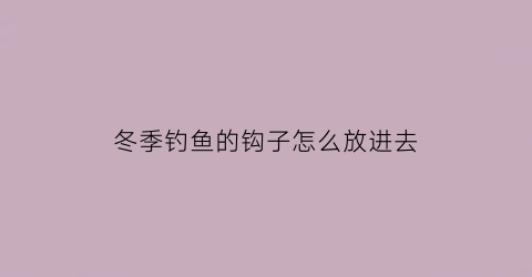 冬季钓鱼的钩子怎么放进去