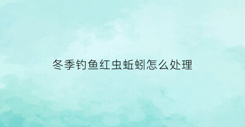 冬季钓鱼红虫蚯蚓怎么处理(冬天钓鱼红虫好还是蚯蚓好)