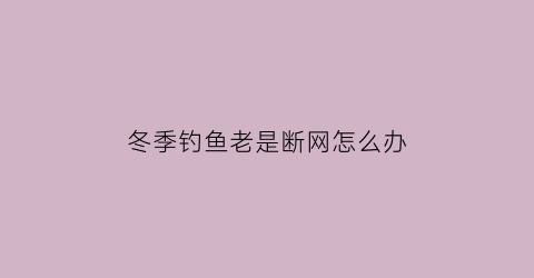 “冬季钓鱼老是断网怎么办(冬天钓鱼太难了)