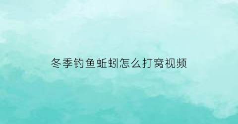 冬季钓鱼蚯蚓怎么打窝视频