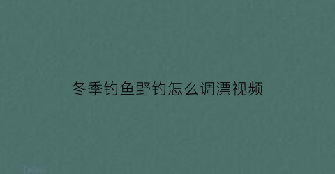 冬季钓鱼野钓怎么调漂视频