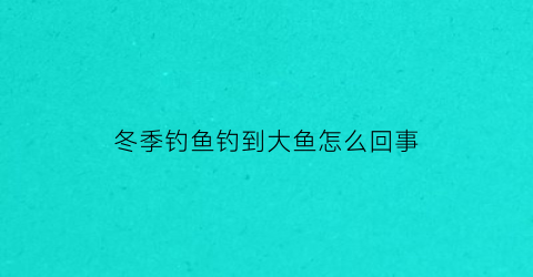 “冬季钓鱼钓到大鱼怎么回事(冬天钓鱼会有鱼吗)