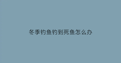 冬季钓鱼钓到死鱼怎么办