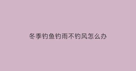 冬季钓鱼钓雨不钓风怎么办(冬季小雨钓鱼)