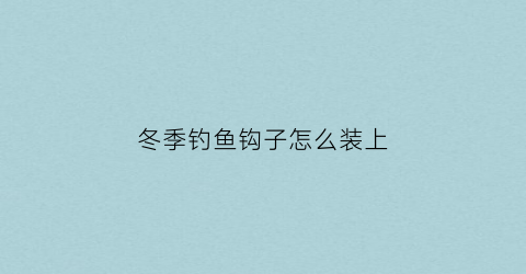冬季钓鱼钩子怎么装上(冬季钓鱼鱼钩)