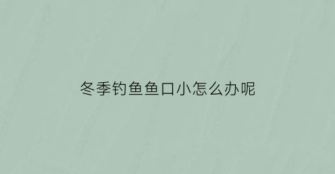 冬季钓鱼鱼口小怎么办呢