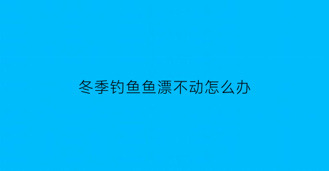 冬季钓鱼鱼漂不动怎么办(冬季钓鱼鱼漂不动怎么办视频)