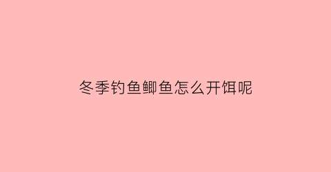 冬季钓鱼鲫鱼怎么开饵呢(冬季钓鱼鲫鱼怎么开饵呢图解)