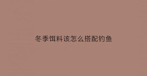 “冬季饵料该怎么搭配钓鱼(冬季钓鱼饵料怎样配)