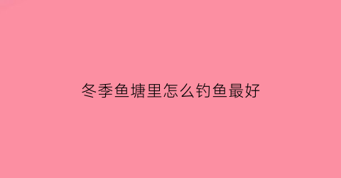 冬季鱼塘里怎么钓鱼最好