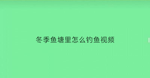 冬季鱼塘里怎么钓鱼视频