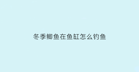 “冬季鲫鱼在鱼缸怎么钓鱼(冬季鲫鱼在鱼缸怎么钓鱼视频)