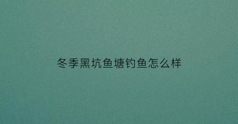 冬季黑坑鱼塘钓鱼怎么样(冬天钓黑坑鱼塘视频怎么调)