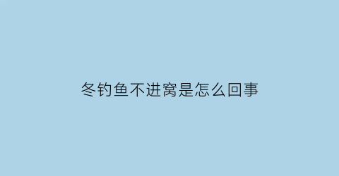 冬钓鱼不进窝是怎么回事(冬天钓鱼钓不到)