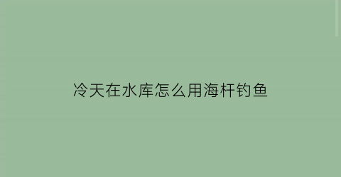 冷天在水库怎么用海杆钓鱼(冷天在水库怎么用海杆钓鱼视频)