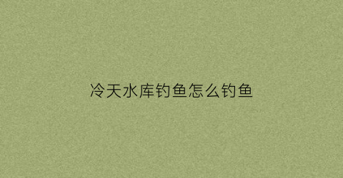 冷天水库钓鱼怎么钓鱼(冷天水库钓鱼怎么钓鱼视频)