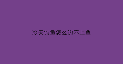 冷天钓鱼怎么钓不上鱼(天冷钓不到鱼怎么办)