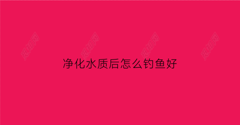 净化水质后怎么钓鱼好(水质净化液对鱼有伤害吗)