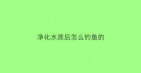 净化水质后怎么钓鱼的(净化后的水可以养鱼吗)