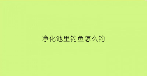 净化池里钓鱼怎么钓(净化池里钓鱼怎么钓鱼)