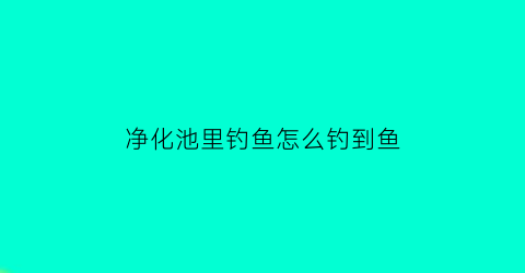 净化池里钓鱼怎么钓到鱼(净化池是什么)