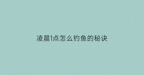 “凌晨1点怎么钓鱼的秘诀(凌晨钓鱼鱼有口吗)