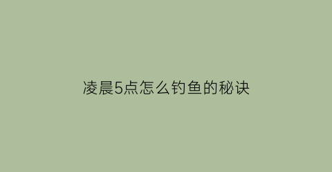 凌晨5点怎么钓鱼的秘诀(凌晨5点钓鱼怎么钓)